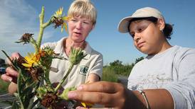 Applications now open for 2022 Youth Conservation Corps at Midewin