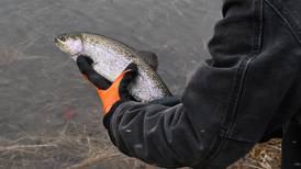 Come observe owls, trout and deer and more at Will County forest preserve programs 
