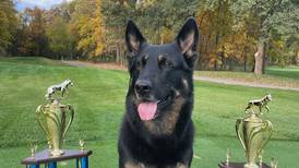 Lake County Sheriff’s K-9 teams excel at USPCA Region 19 Trials