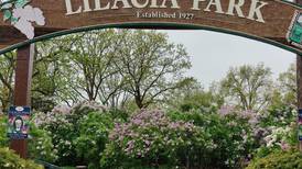 Springtime festivals celebrate music, art, history in northern Illinois