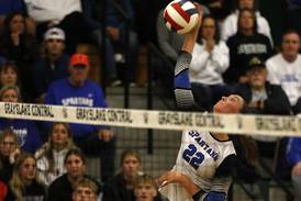 2024 Kane County Chronicle girls volleyball All-Area team