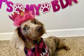 Pet of the Week: March 19, 2025