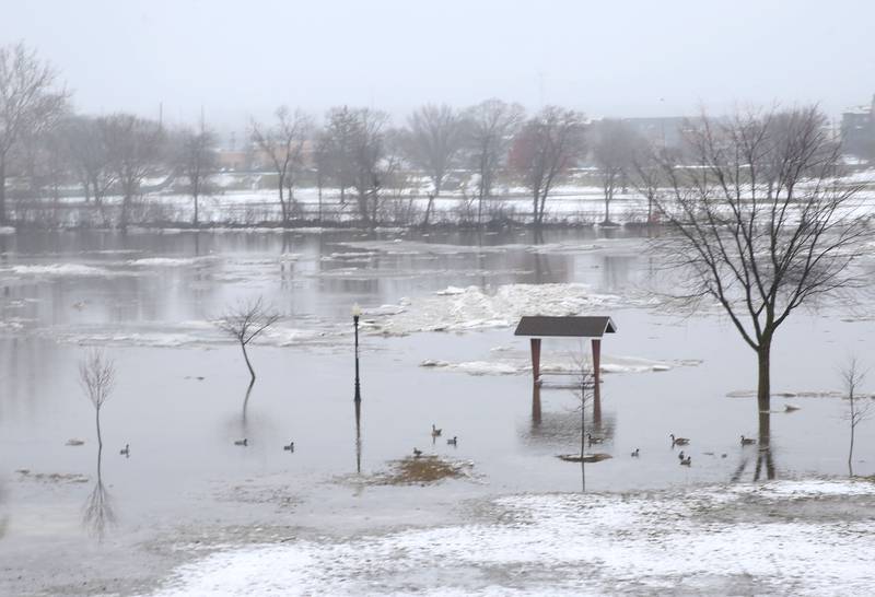 The Illinois River floods Allen Park on Friday, Jan. 26, 2024, in Ottawa.