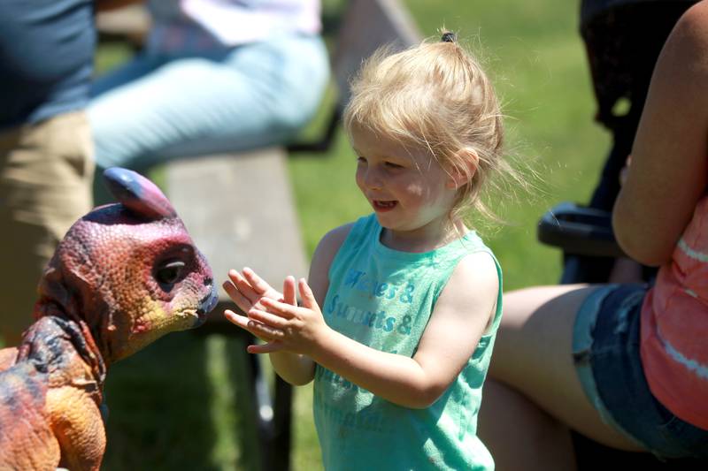 Harper Voitik, 2, of Channahon meets a baby dinosaur as part of the Dino Farm Adventure at Kuipers Family Farm in Maple Park on Thursday, May 30, 2024. The Dino Farm Adventure will be at Kuipers until June 16.
