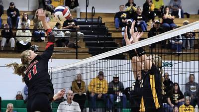 Erie-Prophetstown falls to red-hot Riverdale in regional final