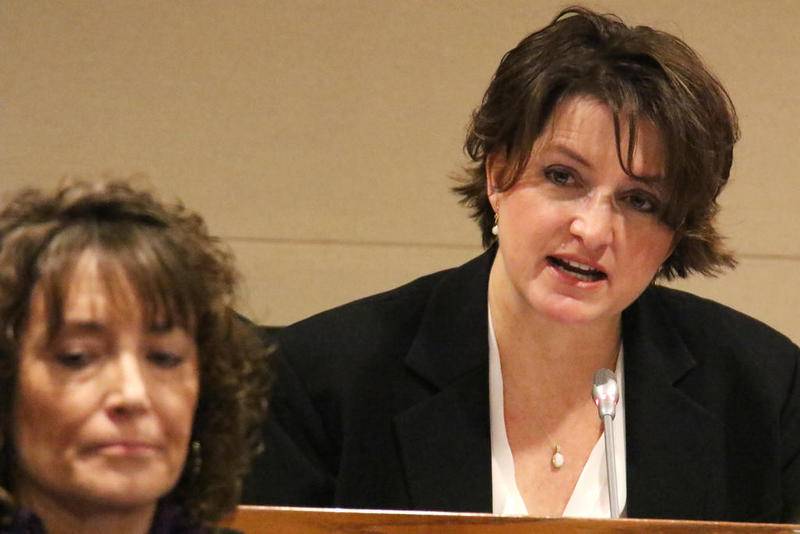 McHenry County Board member Kelli Wegener delivers her viewpoints Tuesday during a Committee of the Whole meeting to discuss the elimination of mileage reimbursement and health insurance for McHenry County Board members in Woodstock.