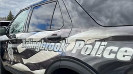 Bolingbrook police arrest teen for possession of stolen handgun