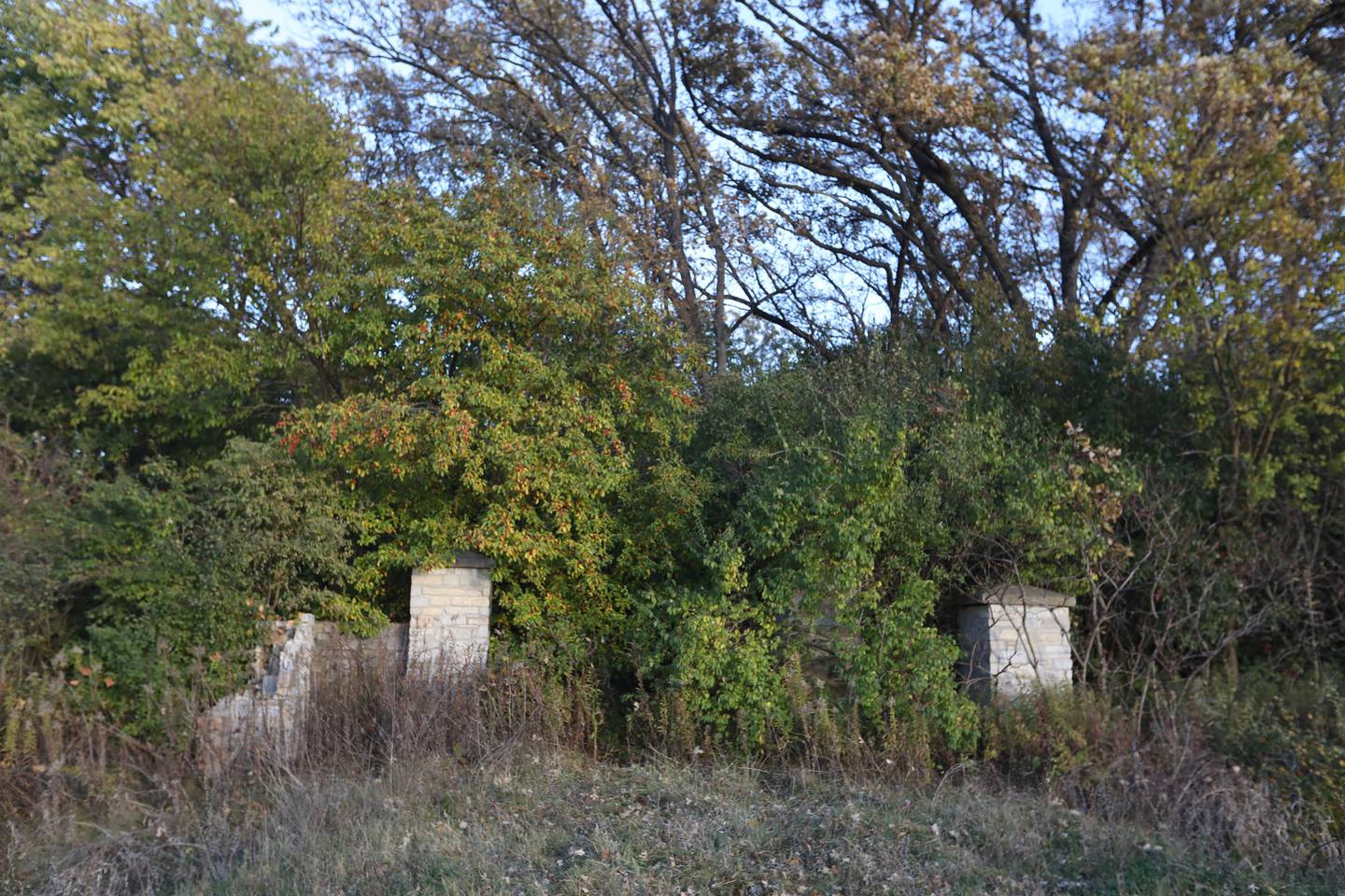 An old cemetery just north of Route 14 on Rose Farm Road on Thursday, Oct. 30, 2025, near Woodstock.