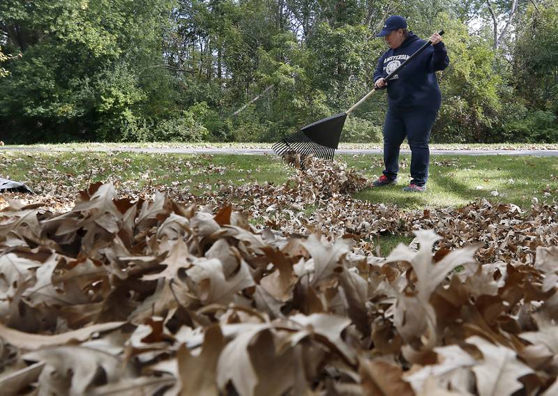 Brenda Kowalski rakes leaves Monday, Oct. 9, 2023, in McHenry. Many municipalities are just starting to pick up leaves.