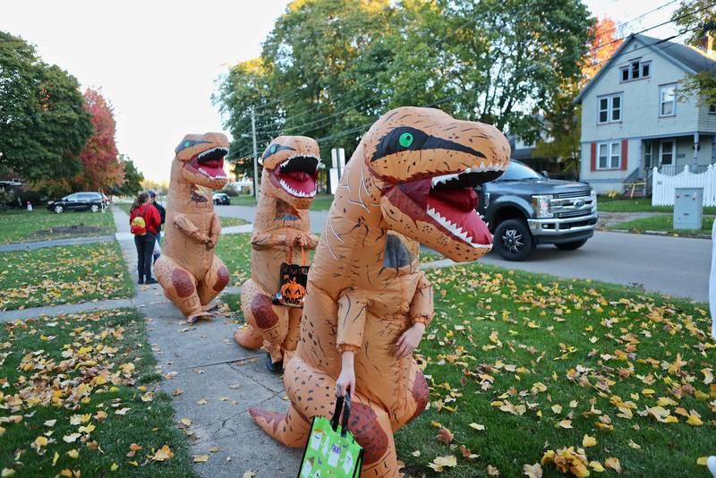 Photos Trickortreating in Princeton Shaw Local