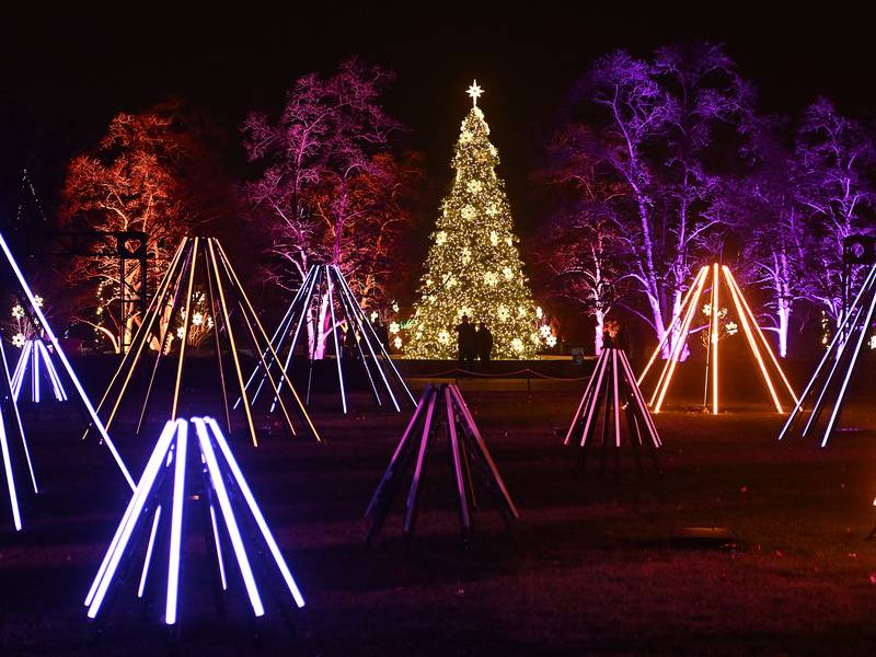 Discover holiday light shows across northern Illinois