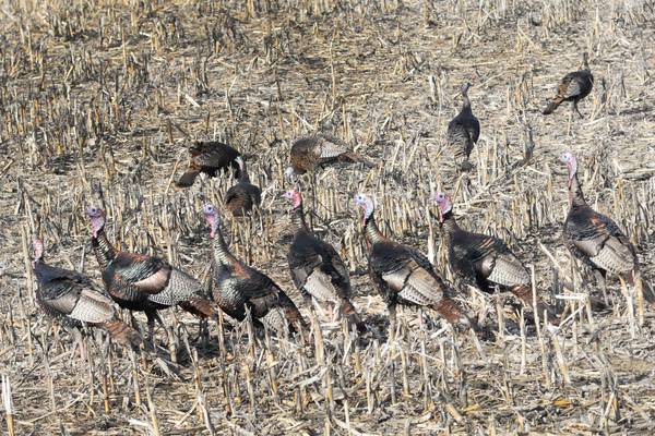 Measure led by State Sen. Joyce that expands hunting permits to landowners signed into law