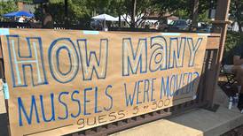 How many mussels relocated in Kankakee River?