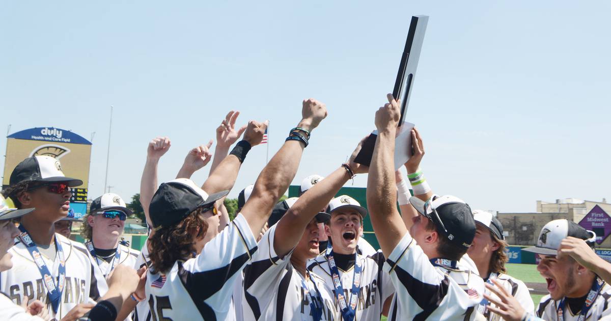 Photos Sycamore baseball celebrates a third place finish at state