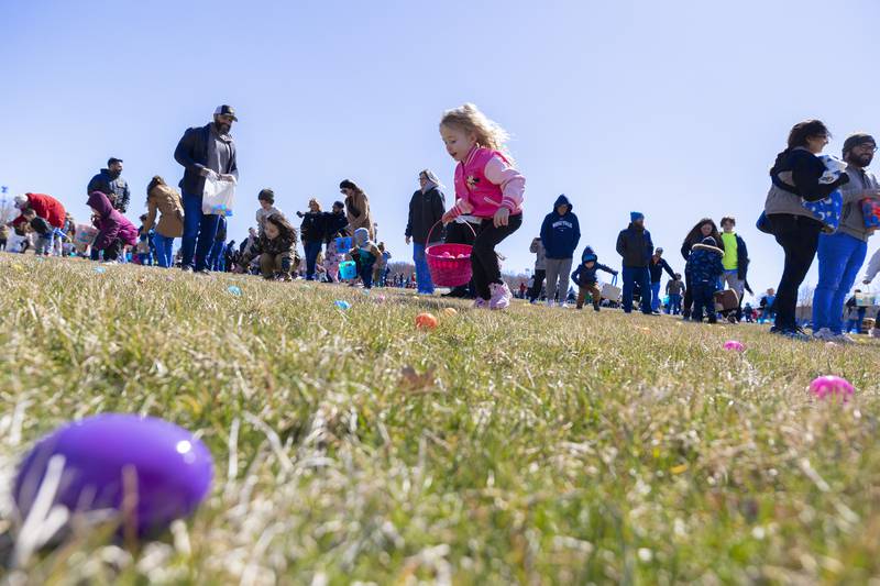 Kids aged 3-4 quickly snatch up eggs Saturday, March 23, 2024 at the Sterling Park District Egg Hunt. A lucky four received a new bike and another lucky four were awarded with a pool party at the Duis Center.