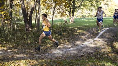 Cross country: Dixon girls, Sterling’s Johnson dominate at Hoover Park