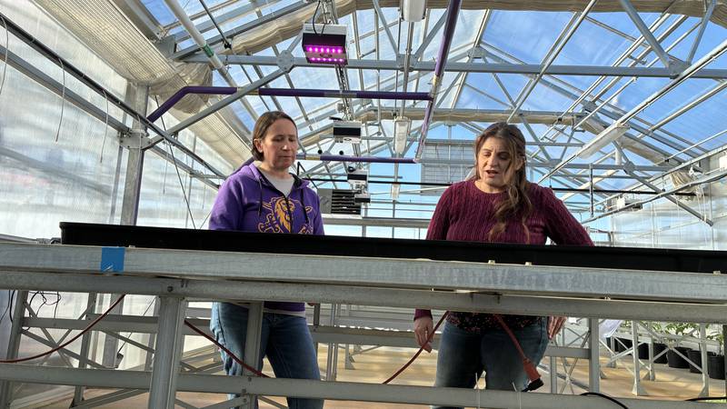 The Great Seed Event is set for 10 a.m. to 2 p.m. Feb. 7 at McHenry County College, in the cafeteria. More than 1,000 people are expected at the event, where gardeners will swap seeds and learn about composting, urban gardening and pocket prairies.