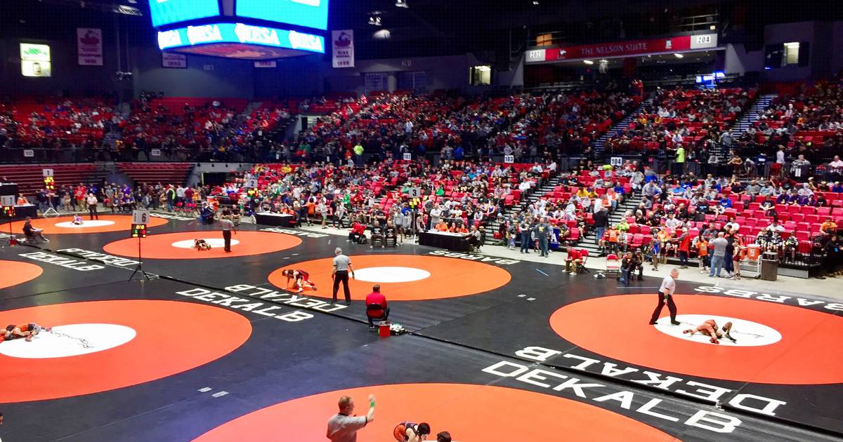 Iesa State Wrestling 2025