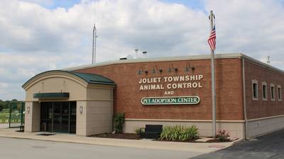 Joliet woman accused of causing dog to suffer from heat stroke, leading to euthanasia