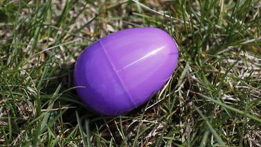 Easter egg hunts set in the Sauk Valley