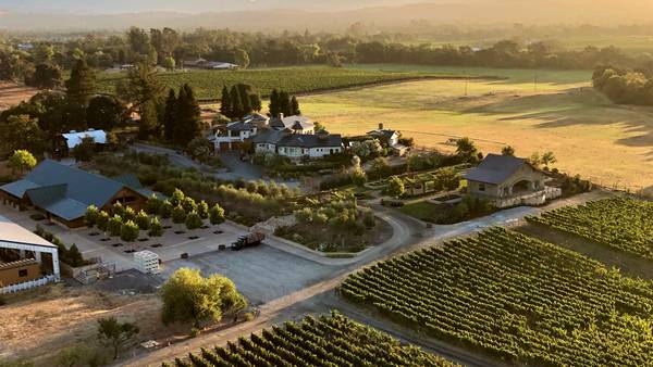 Viognier, a niche white wine, offers fruity, crisp taste to pair with a variety of cuisines