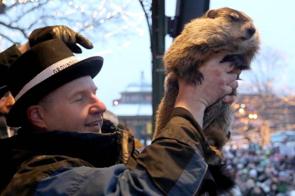 Groundhog Day in Woodstock: Willie predicts early spring, rest of region hopes he’s right