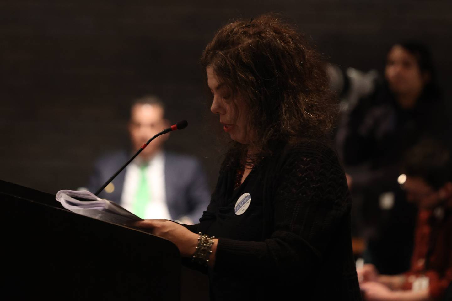 Mary Beth Gannon speaks to the council members during the City Council Meeting at City Hall in Joliet on Monday, March 13th, 2023.