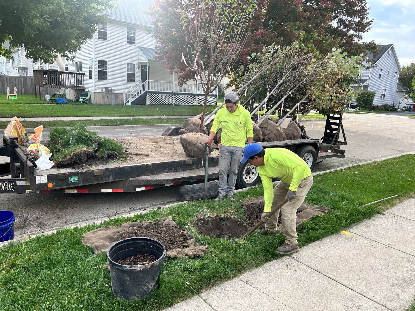 Workers plant a Japanese Lilac tree in front of the home of Kirkland resident Les Barnsback in fall 2023.