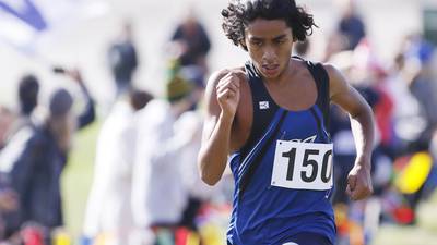 Photos: Boys Class 2A Woodstock North Sectional cross country