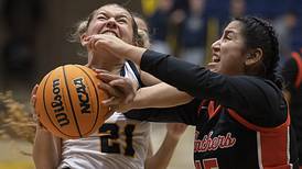 Photos: Sterling vs United Township in girls basketball