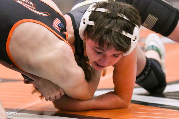 Collin Hughes, Liam Schroeder go 3-0 for Sycamore on Don Flavin opening day