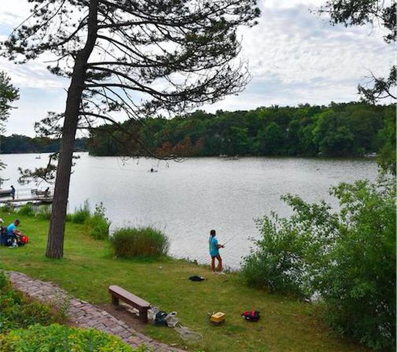 People line the shore of Woods Creek Lake Saturday for the Connor Kincaid Fishing Tournament at Nockels Park to help restock fishing areas in the village of Lake in the Hills.