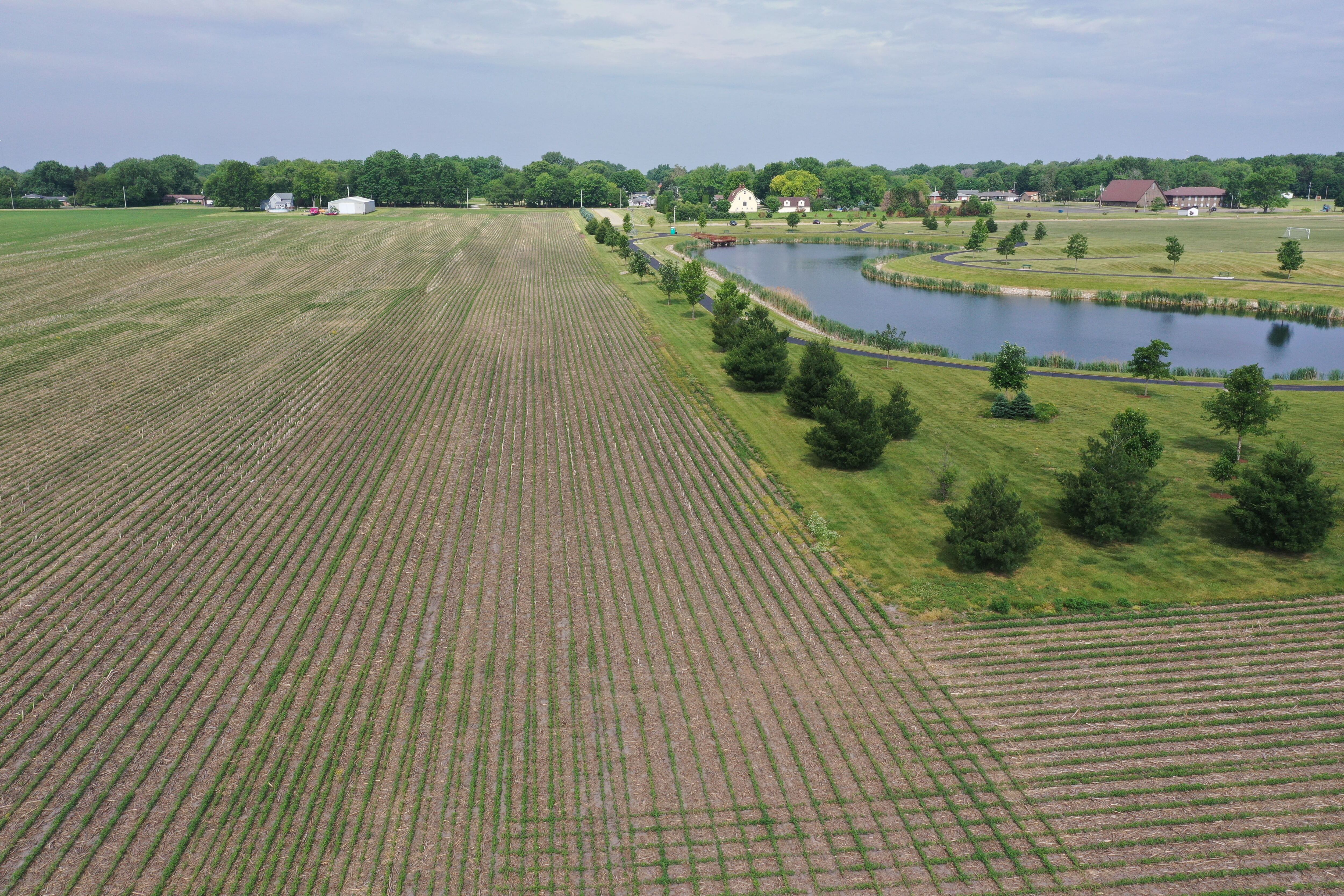 The soil is brown and dry behind the lake at Zearing Park on Wednesday, June 7, 2023, in Princeton.