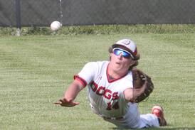 Baseball: This time, shaky 7th burns Bulldogs in sectional loss to Peoria Richwoods