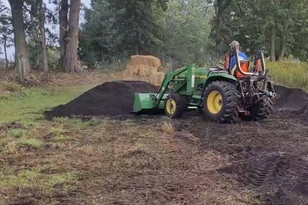 ‘Mini-forests’ are rare in the US. The Algonquin Garden Club is planting one in Kane County