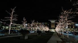 Elmhurst Memorial Hospital Foundation’s Love Lights program begins Dec. 1