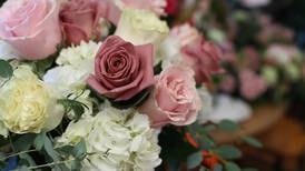 Valley Flowers to Merge with Flower Bar, relocate to Peru