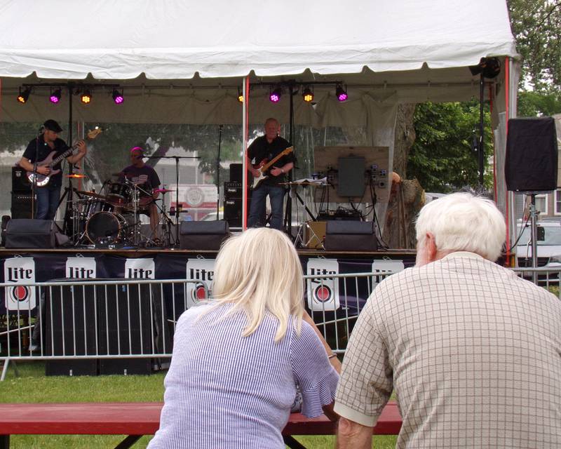 La Salle Music and Art Festival goers sat at picnic tables and brought their own lawn chairs at Pulaski Park for the two-day festival.