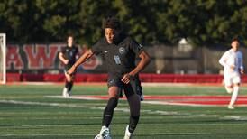 Presenting the 2024 Herald-News All-Area Boys Soccer Team
