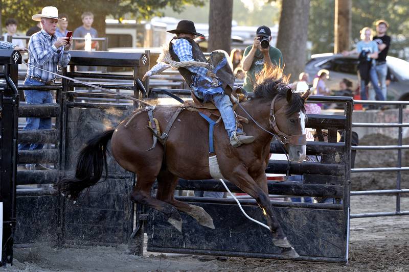 Colby Gruenloh fires out of the shoot Wednesday, August 13, 2025, at the Whiteside County Fair during the Next Level Pro Bronc rodeo.