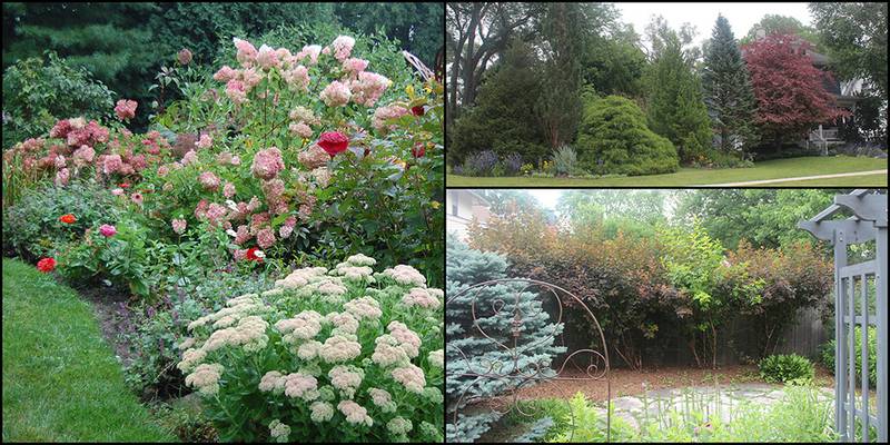 Countryside Flower Shop - Ideas for creating privacy in your yard with fence, landscaping