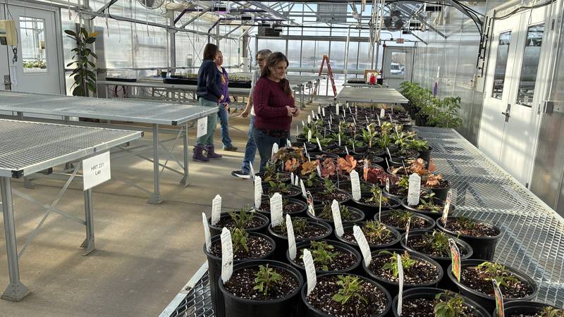 The Great Seed Event is set for 10 a.m. to 2 p.m. Feb. 7 at McHenry County College, in the cafeteria. More than 1,000 people are expected at the event, where gardeners will swap seeds and learn about composting, urban gardening and pocket prairies.