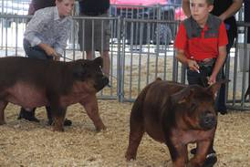 PHOTOS: 2022 Kendall County Fair 4-H animal show