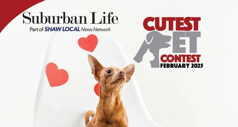 SLM Feb Cute pet promo