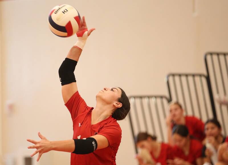 Hall's libero Ellie Brooks serves the ball against Mendota on Tuesday, Sept. 13, 2024 at Hall High School.