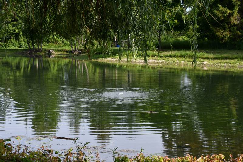 Fish for trout as spring trout season gets underway April 6 at the Forest Preserve District of Will County’s Hidden Lakes Trout Farm. A special Trout Season Celebration will be held from 6 to 8 a.m. for early bird anglers