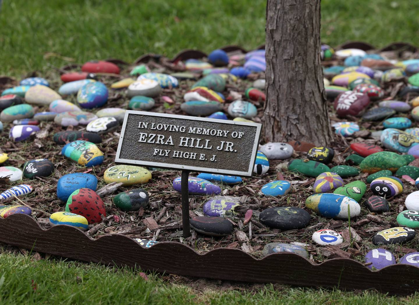 The tree and rock garden Monday, May 12, 2025, dedicated to the memory of Ezra Hill Jr. at Tyler Elementary School. Hill was murdered in 2019 in Harvey, and the Fifth Annual Ezra Hill Jr. Memorial Rock Painting event will be held on June 7 at the school in DeKalb.