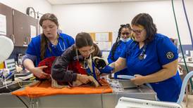 Joliet Junior College professor lauds vet tech bill that calls for licensing