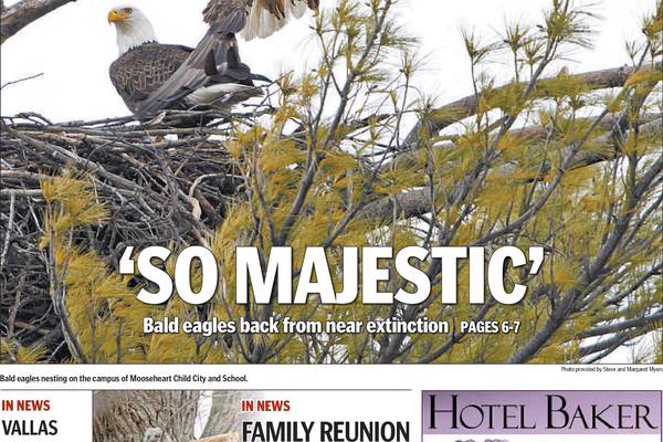 Historical covers for April 4: ‘So Majestic’: Bald eagles back from near extinction