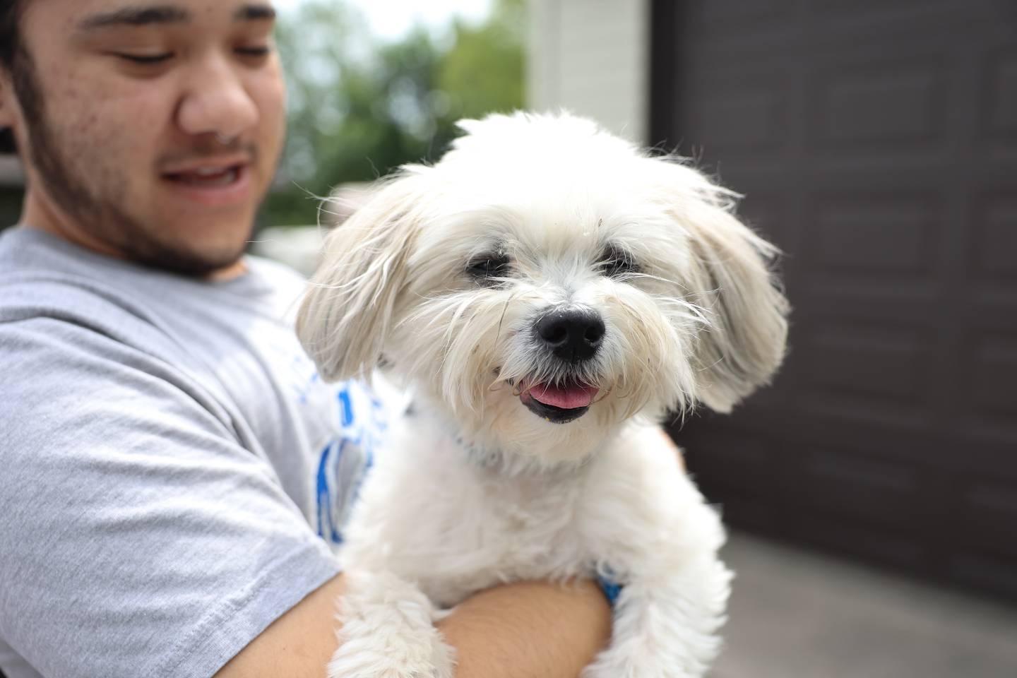 Will County Humane Society manager Garrett Dobson holds Lagos outside the Shorewood facility on Tuesday June 4, 2024 in Shorewood.